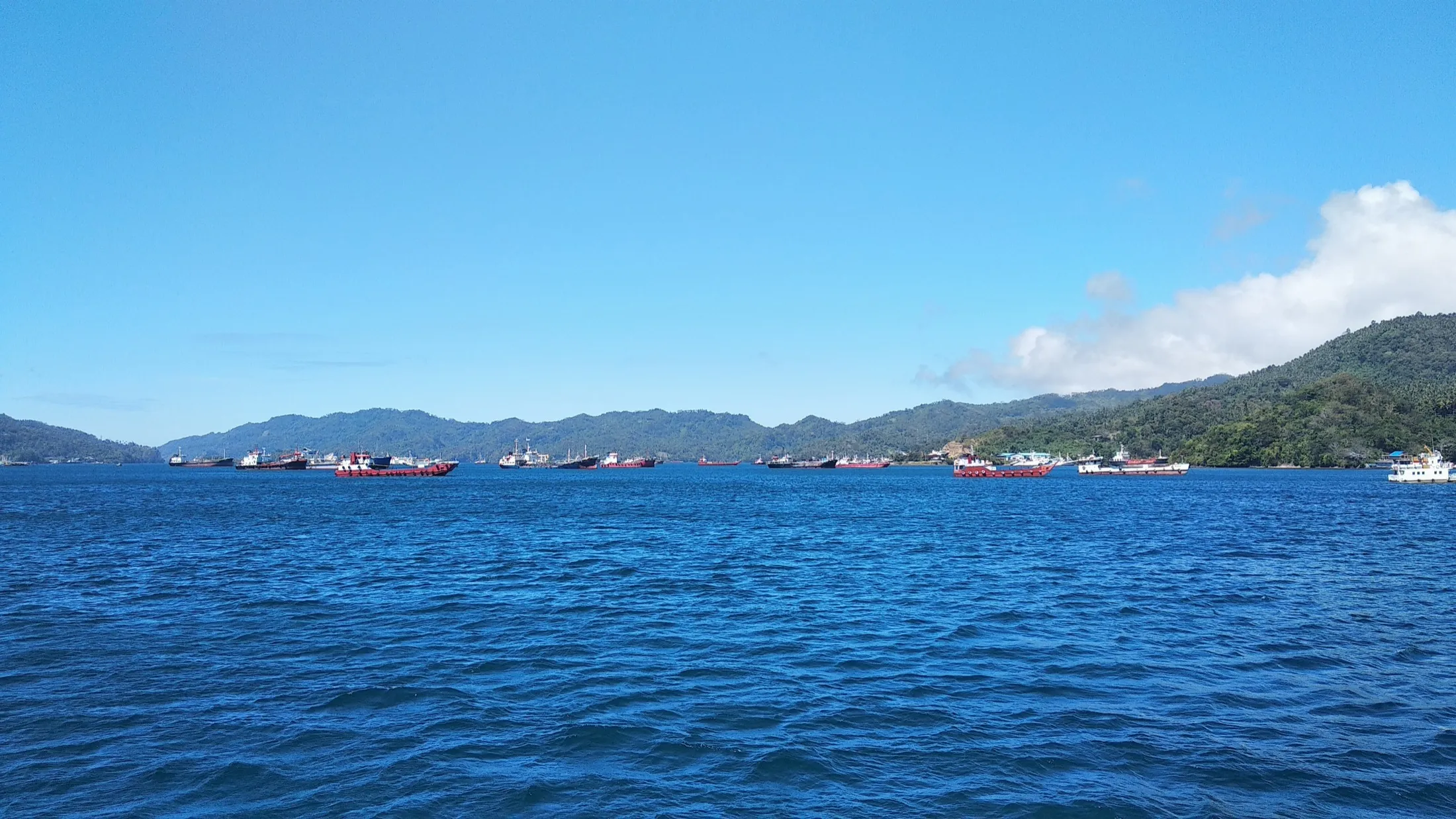 Ships anchored in the Bitung roadstead.
