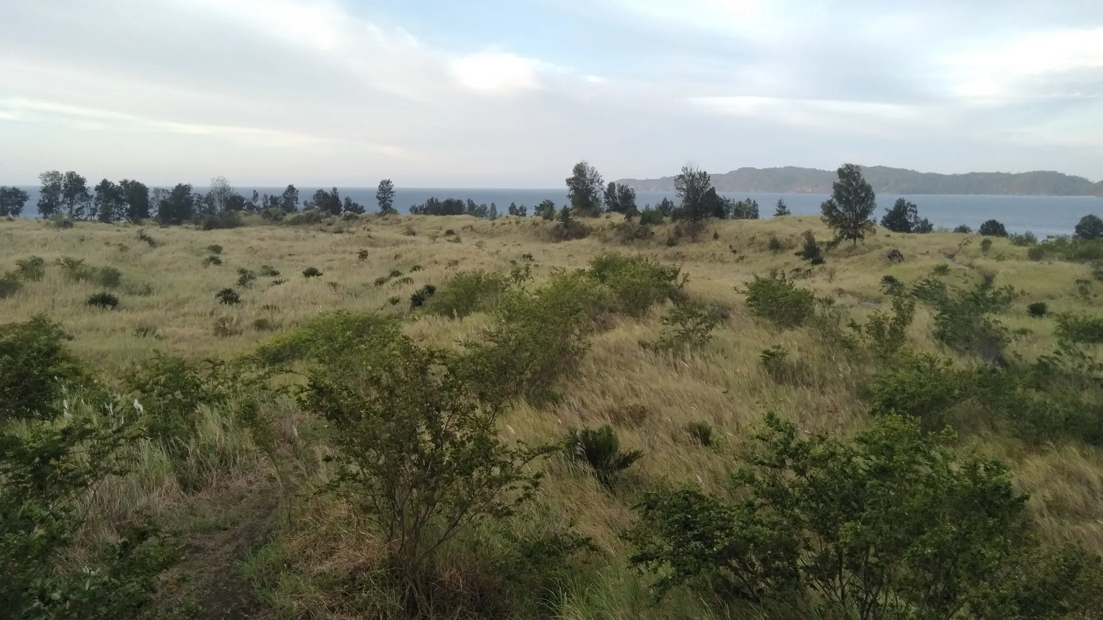 The Batu Angus lava field — left by the 1801 eruption of Gunung Tangkoko.
