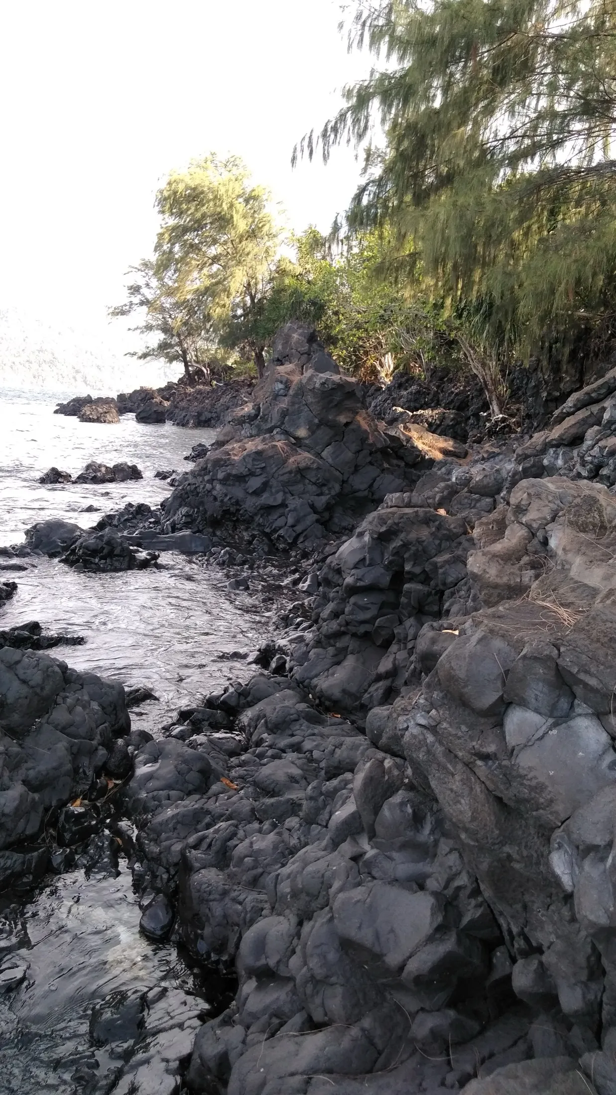 The rocky shore inside the Batu Angus lava field.